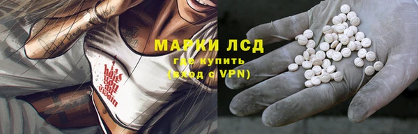 мдпв Магас