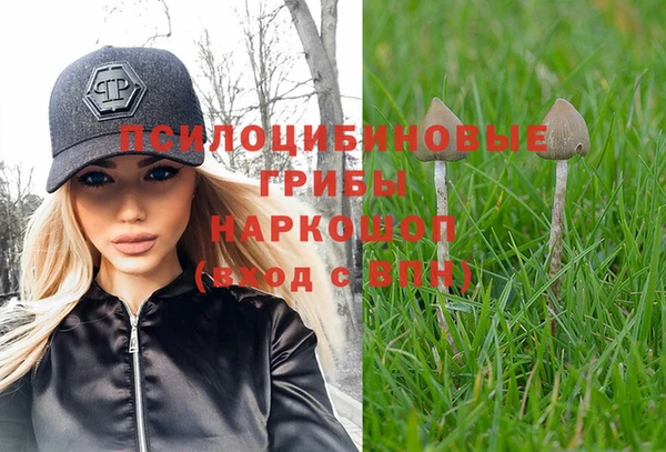прущий лед Майский